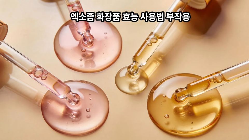 엑소좀 화장품 효능 사용법 부작용 1 엑소좀 화장품 효능 사용법 부작용